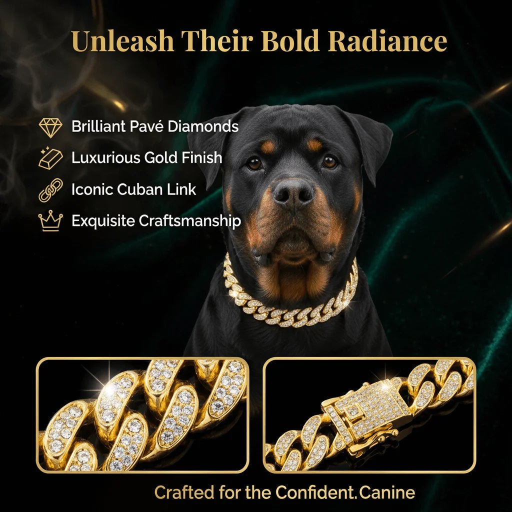 Luxury Hip Hop Dog Collar, Gold Tone Stainless Steel Cuban Chain, Durable Diamond Inlaid Pet Jewelry