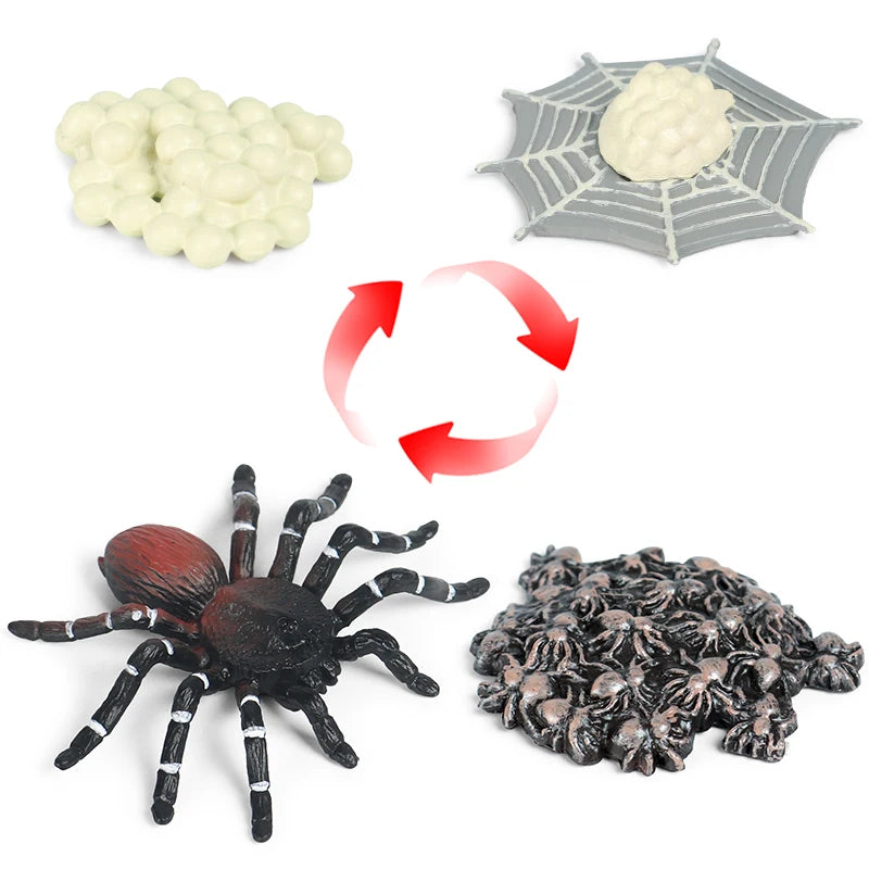 Oenux Insect Animals Model Spider Web Scorpion Bat Action Figures Figurine Miniature Cute Educational Kid Toy Halloween Gift