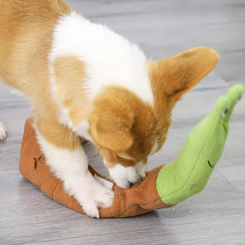 Snail Shaped Pet Toys for Dogs lifestyle view