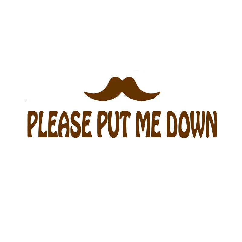 PUT ME DOWN Toilet Seat Reminder Sign | Funny Vinyl Bathroom Decal alternate view