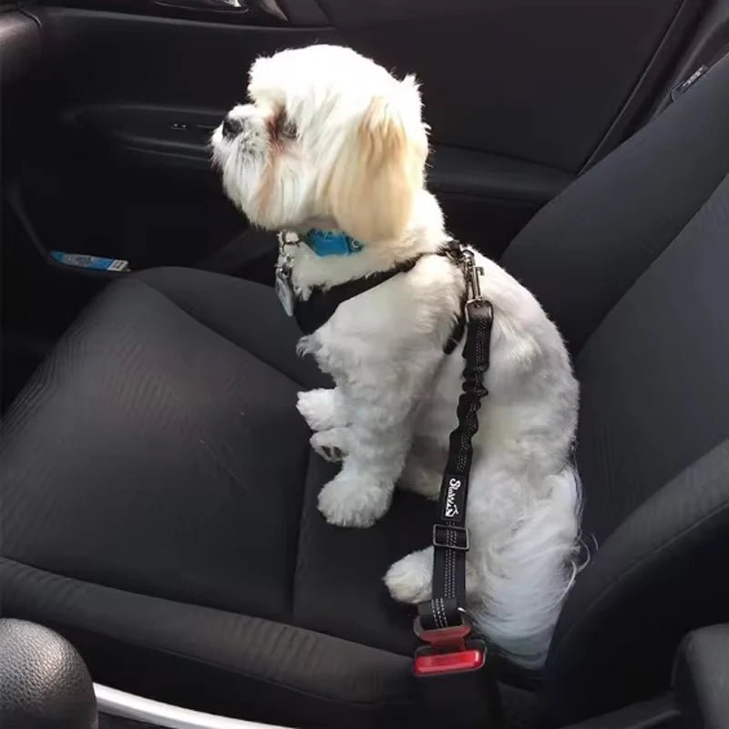 Adjustable Dog Car Seat Belt – Elastic Safety Leash - Onlytenbucks.com