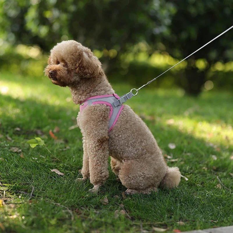 Adjustable Reflective Puppy Harness and Leash Set - Onlytenbucks.com