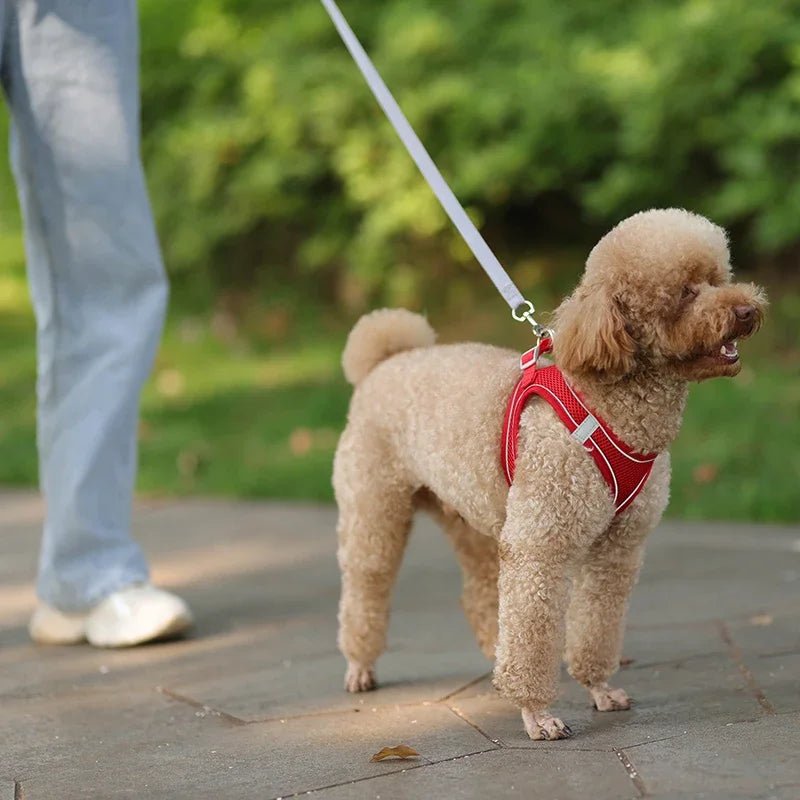 Adjustable Reflective Puppy Harness and Leash Set - Onlytenbucks.com