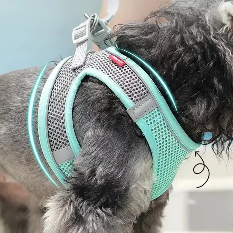 Adjustable Reflective Puppy Harness and Leash Set - Onlytenbucks.com