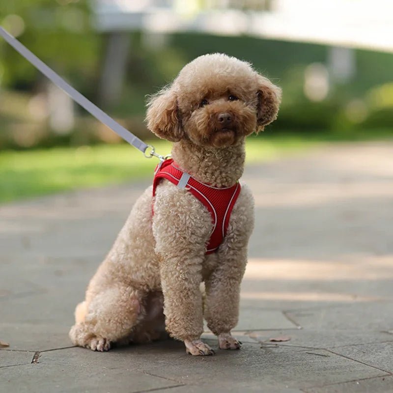 Adjustable Reflective Puppy Harness and Leash Set - Onlytenbucks.com