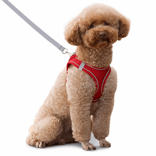 Adjustable Reflective Puppy Harness and Leash Set - Onlytenbucks.com