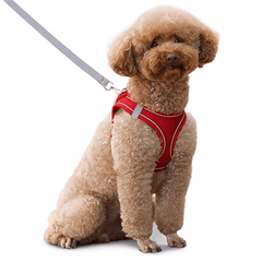 Adjustable Reflective Puppy Harness and Leash Set - Onlytenbucks.com