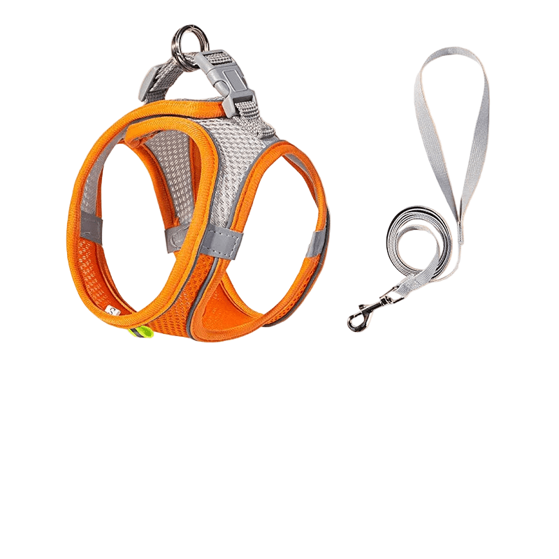 Adjustable Reflective Puppy Harness and Leash Set - Onlytenbucks.com