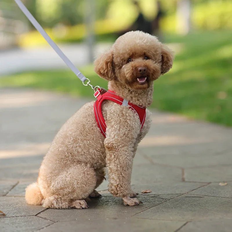 Adjustable Reflective Puppy Harness and Leash Set - Onlytenbucks.com