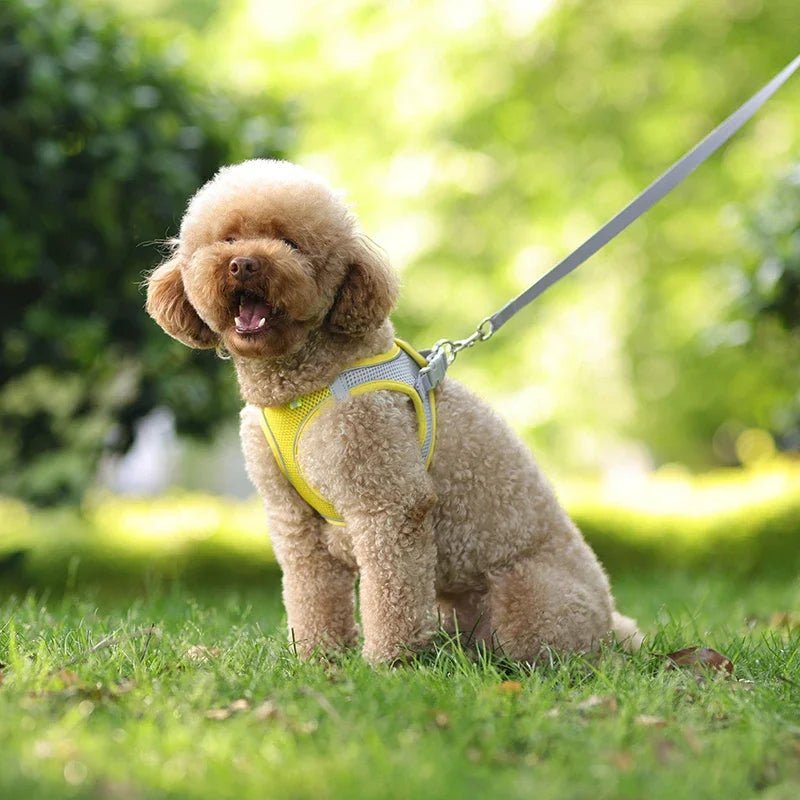 Adjustable Reflective Puppy Harness and Leash Set - Onlytenbucks.com