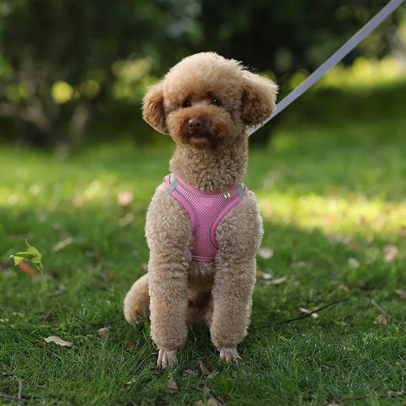 Adjustable Reflective Puppy Harness and Leash Set - Onlytenbucks.com