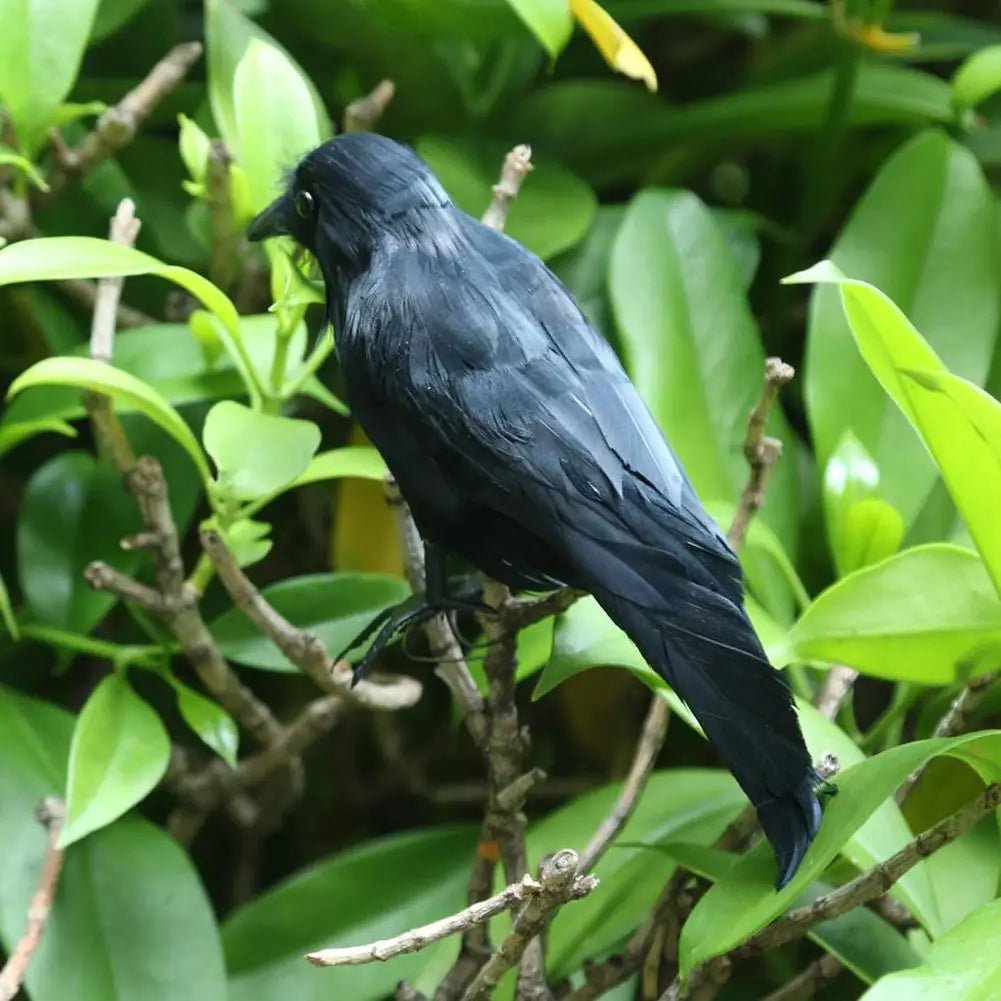 Artificial Black Crow – Halloween Decoration Prop - Onlytenbucks.com