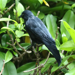 Artificial Black Crow – Halloween Decoration Prop - Onlytenbucks.com