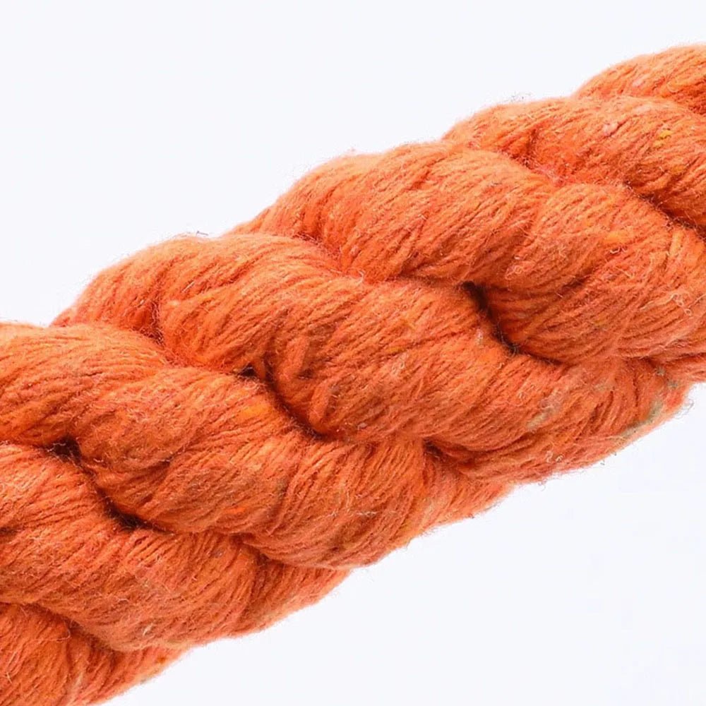 Carrot Rope Dog Toy – Durable Cotton Blend Chew Toy - Onlytenbucks.com