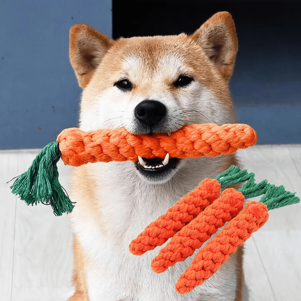 Carrot Rope Dog Toy – Durable Cotton Blend Chew Toy - Onlytenbucks.com