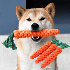 Carrot Rope Dog Toy – Durable Cotton Blend Chew Toy - Onlytenbucks.com