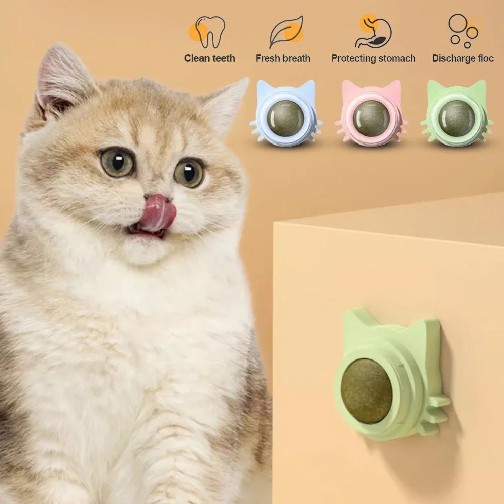 Catnip Lollipop Treat Ball – Wall - Mounted - Onlytenbucks.com