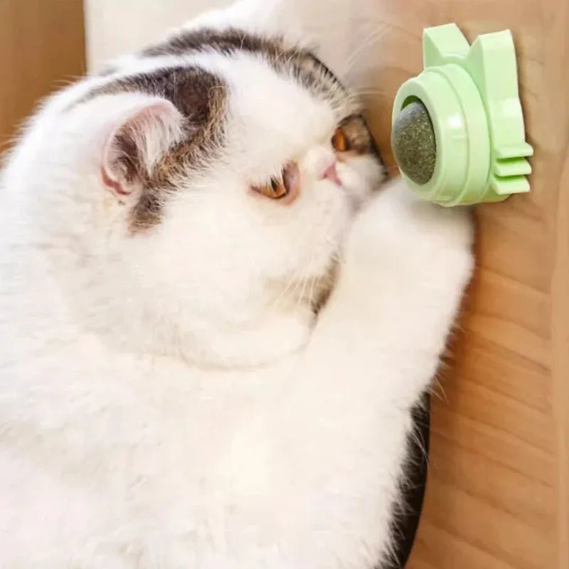Catnip Lollipop Treat Ball – Wall - Mounted - Onlytenbucks.com