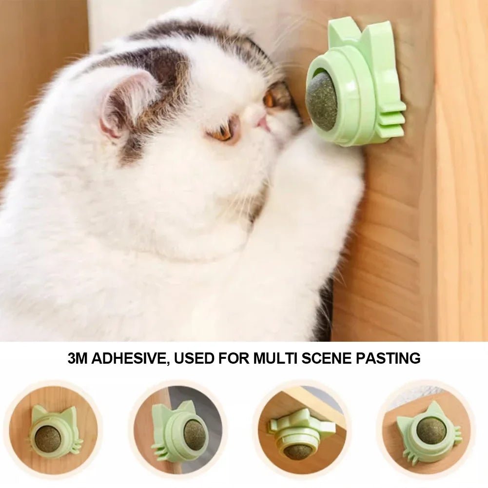 Catnip Lollipop Treat Ball – Wall - Mounted - Onlytenbucks.com