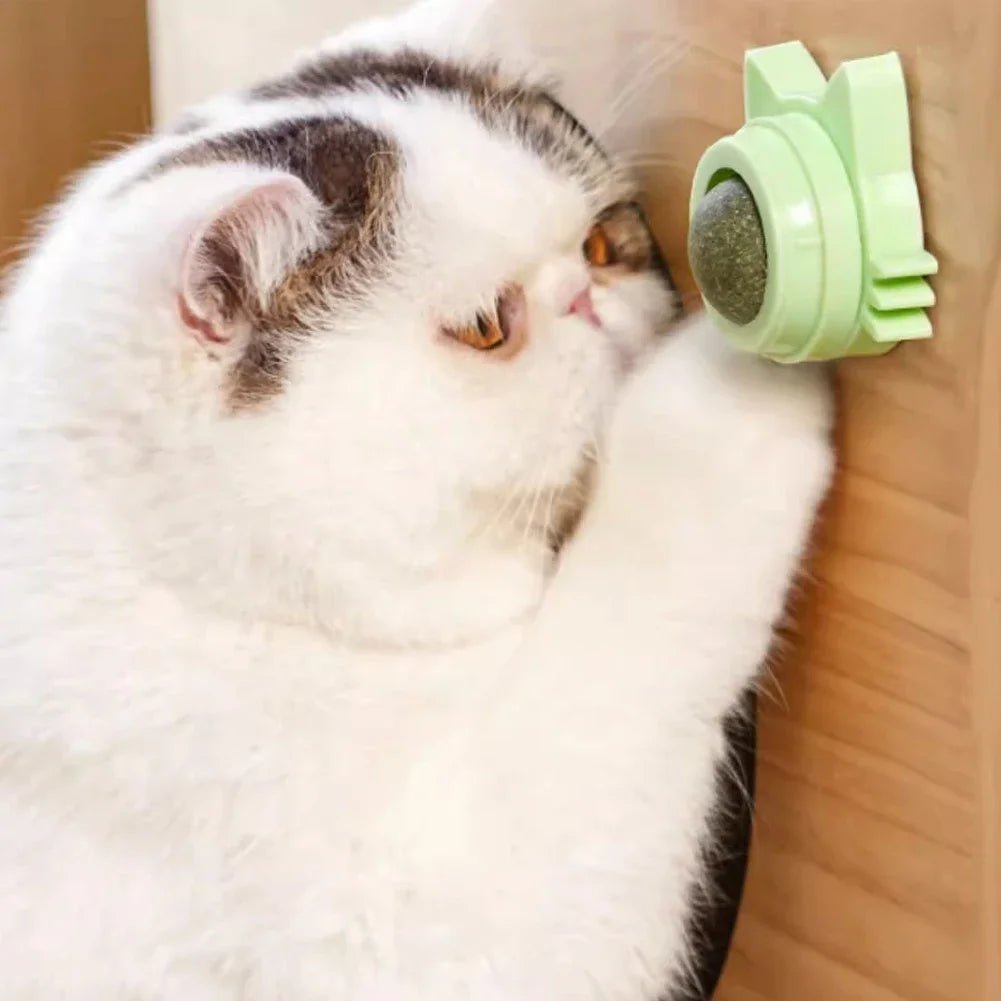 Catnip Lollipop Treat Ball – Wall - Mounted - Onlytenbucks.com