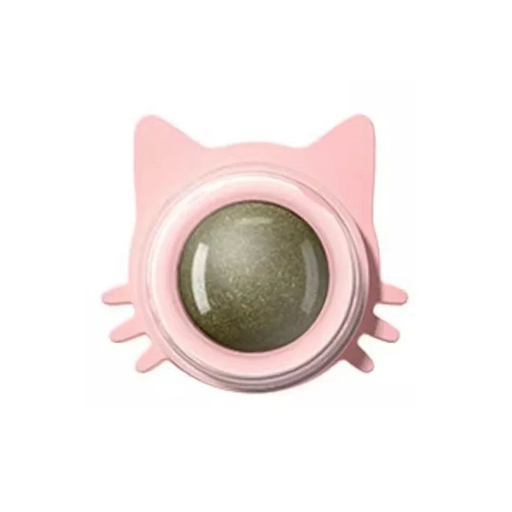 Catnip Lollipop Treat Ball – Wall - Mounted - Onlytenbucks.com