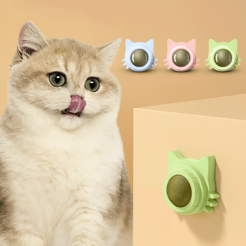 Catnip Lollipop Treat Ball – Wall - Mounted - Onlytenbucks.com