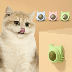 Catnip Lollipop Treat Ball – Wall - Mounted - Onlytenbucks.com