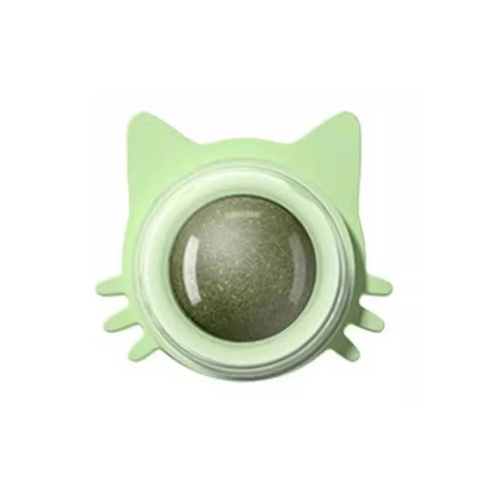 Catnip Lollipop Treat Ball – Wall - Mounted - Onlytenbucks.com
