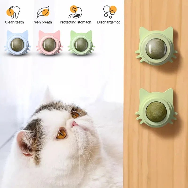 Catnip Lollipop Treat Ball – Wall - Mounted - Onlytenbucks.com