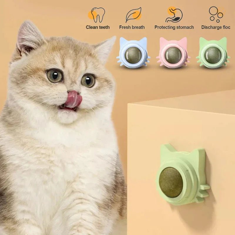 Catnip Lollipop Treat Ball – Wall - Mounted - Onlytenbucks.com