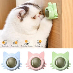 Catnip Lollipop Treat Ball – Wall - Mounted - Onlytenbucks.com