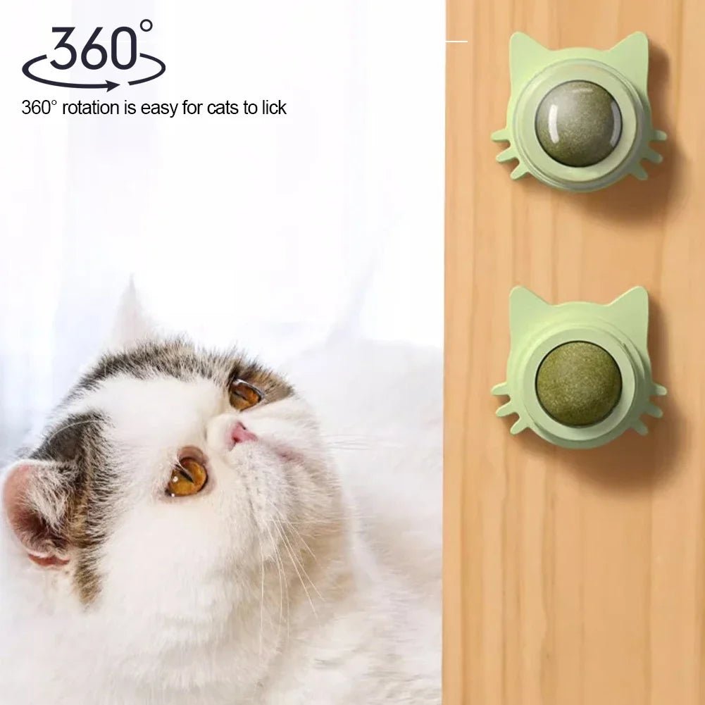 Catnip Lollipop Treat Ball – Wall - Mounted - Onlytenbucks.com