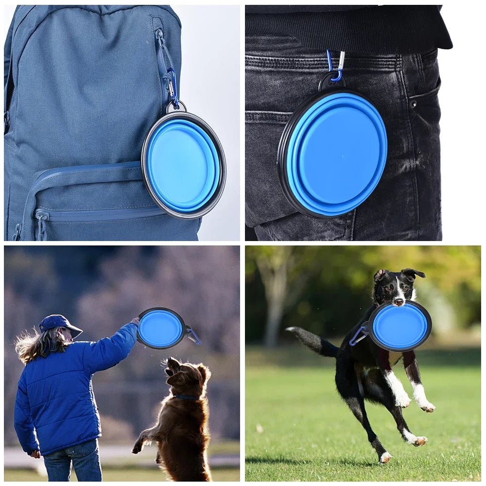 Collapsible Silicone Pet Bowl – Portable Folding - Onlytenbucks.com