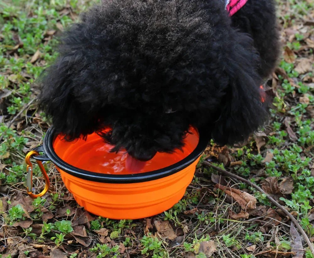 Collapsible Silicone Pet Bowl – Portable Folding - Onlytenbucks.com