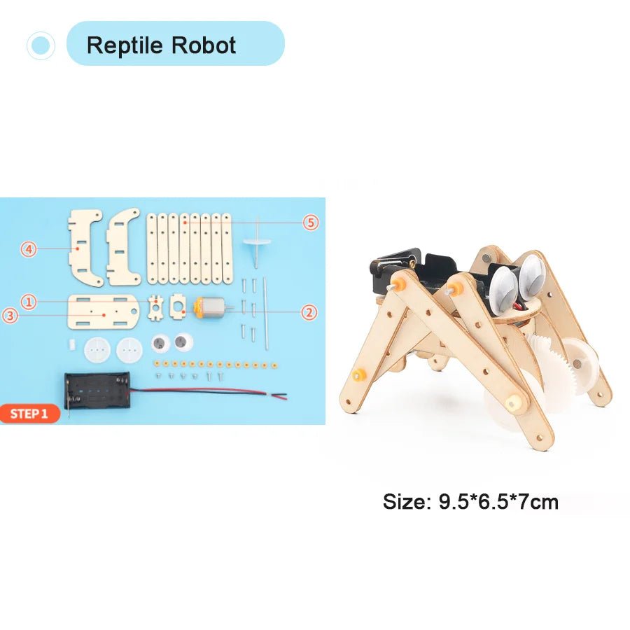 DIY Physical Model Science Experiment Kit – STEM Educational Toy - Onlytenbucks.com