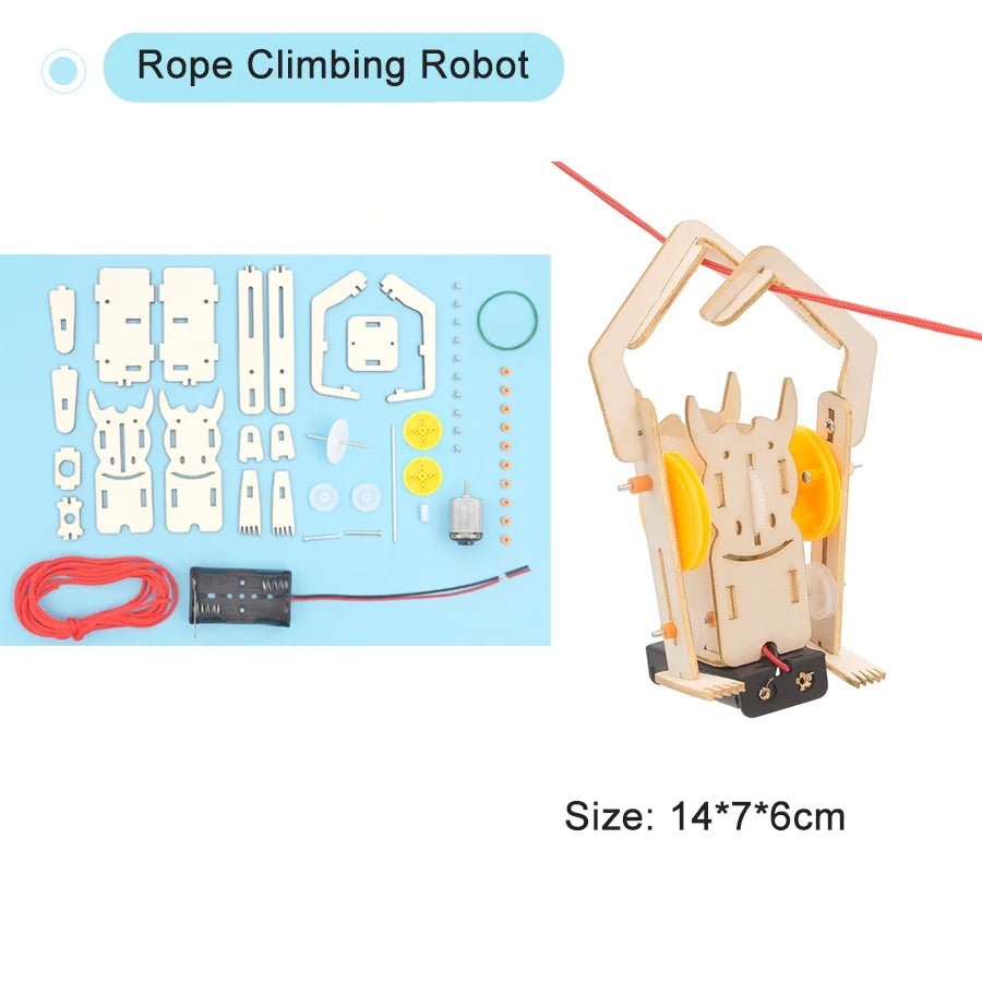 DIY Physical Model Science Experiment Kit – STEM Educational Toy - Onlytenbucks.com