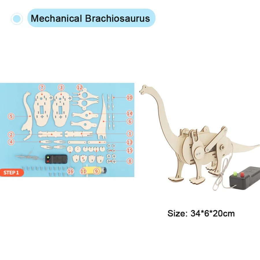 DIY Physical Model Science Experiment Kit – STEM Educational Toy - Onlytenbucks.com