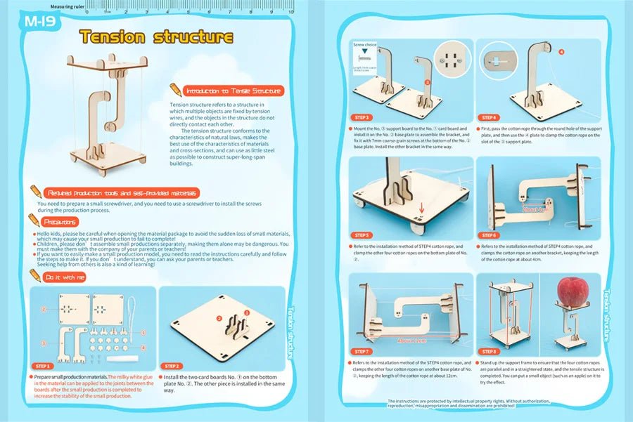 DIY Physical Model Science Experiment Kit – STEM Educational Toy - Onlytenbucks.com