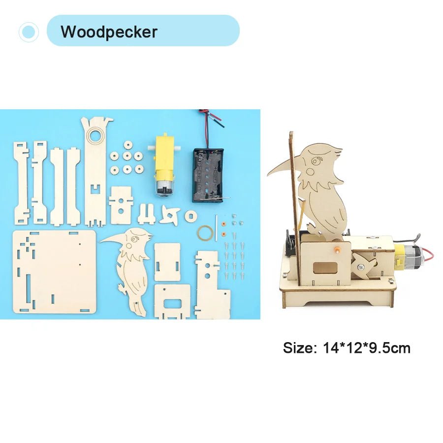 DIY Physical Model Science Experiment Kit – STEM Educational Toy - Onlytenbucks.com
