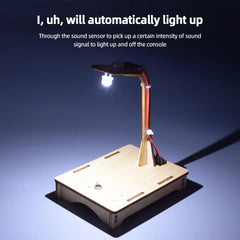 DIY Voice Sensor Lamp – Handmade Physics and STEM Educational Toy - Onlytenbucks.com