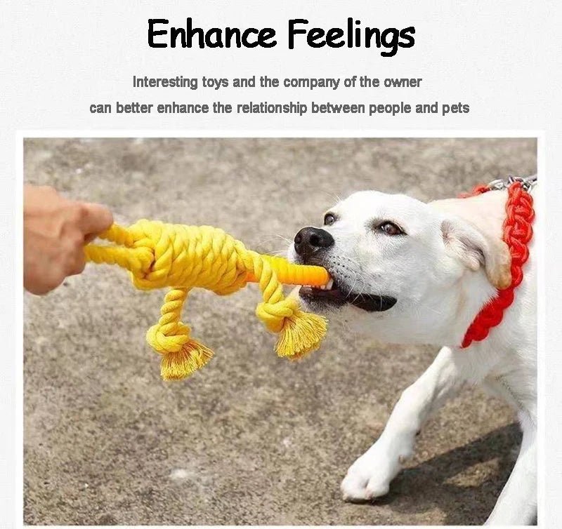 Durable Cotton Rope Dog Toy – Carrot Knot, Rope Ball, and Dumbbell Chew Toy - Onlytenbucks.com