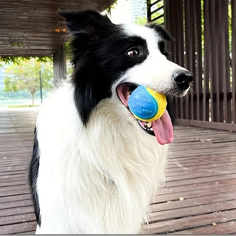 Durable Dog Chew Ball Toy – Interactive TPR Teeth Cleaning Toy - Onlytenbucks.com
