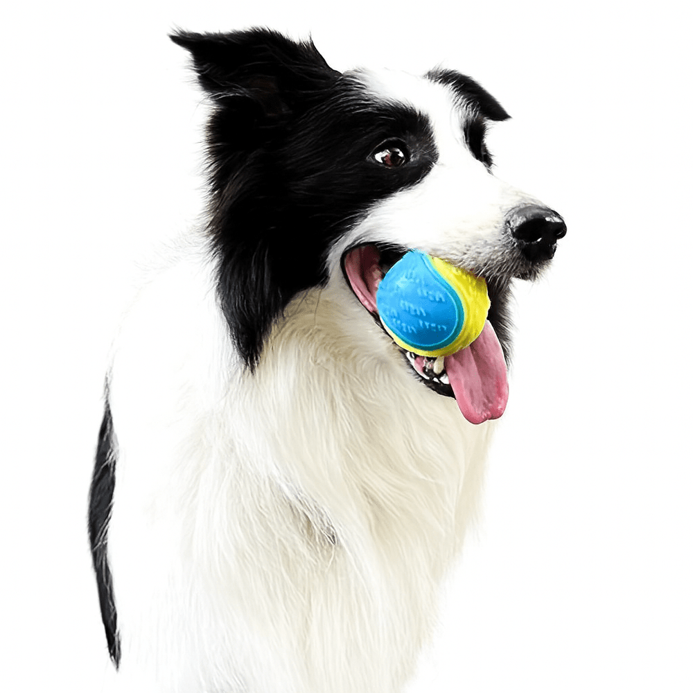 Durable Dog Chew Ball Toy – Interactive TPR Teeth Cleaning Toy - Onlytenbucks.com