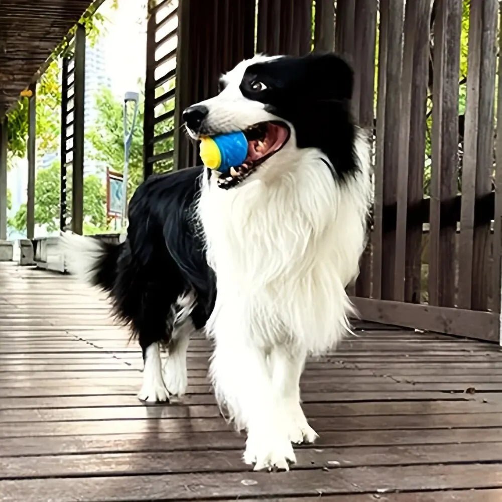 Durable Dog Chew Ball Toy – Interactive TPR Teeth Cleaning Toy - Onlytenbucks.com