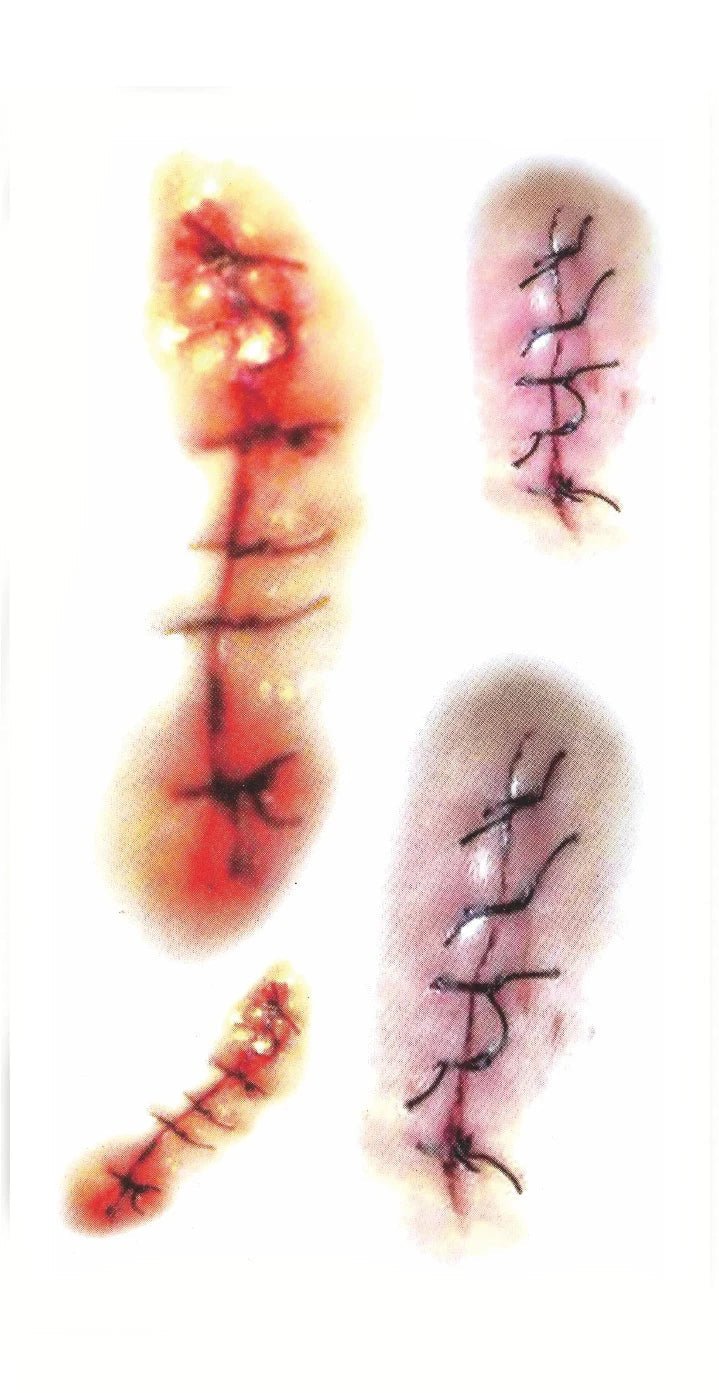 Halloween Scar Temporary Tattoo Stickers – 5 Sheets - Onlytenbucks.com