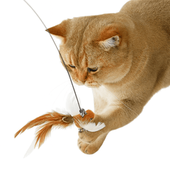 Hands - Free Feather Cat Wand with Bell – Suction Cup Interactive Toy - Onlytenbucks.com