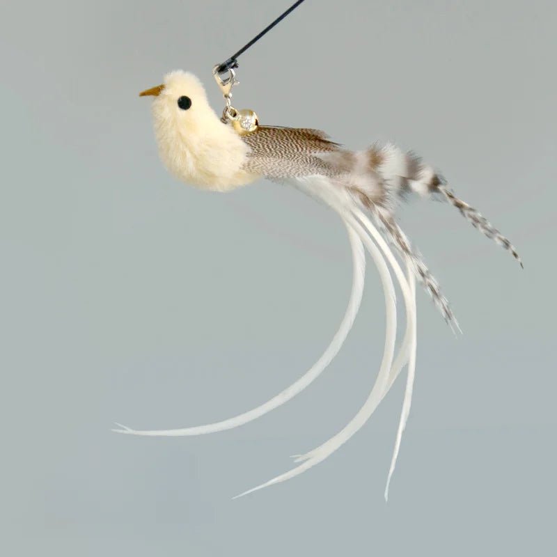 Hands - Free Feather Cat Wand with Bell – Suction Cup Interactive Toy - Onlytenbucks.com