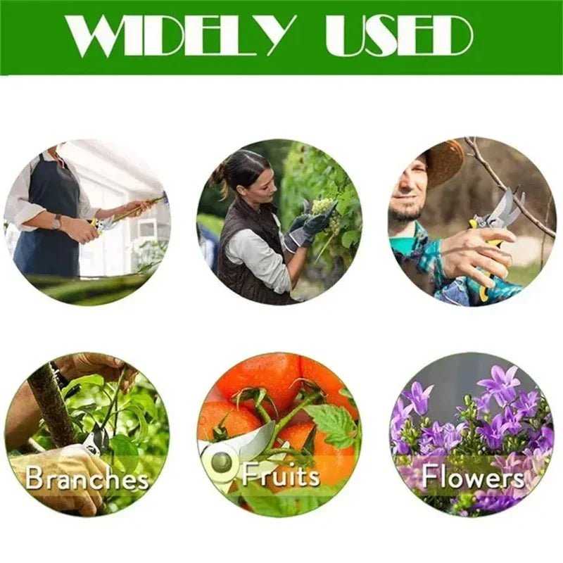 Horticultural Scissors – Bird Beak Shape - Onlytenbucks.com