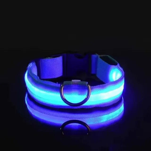 LED Dog Collar – Nylon Light - Up Safety Collar with Reflective Glow - Onlytenbucks.com