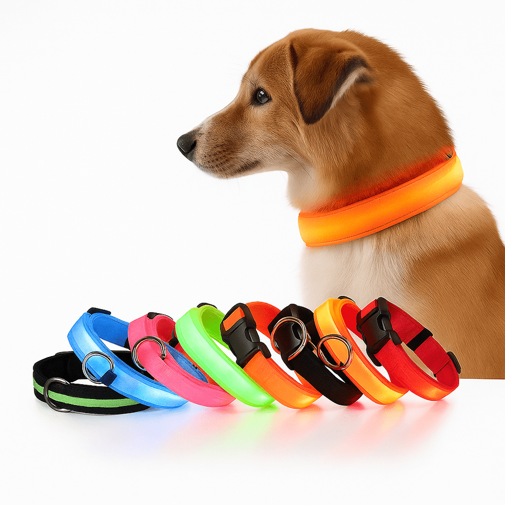 LED Dog Collar – Nylon Light - Up Safety Collar with Reflective Glow - Onlytenbucks.com